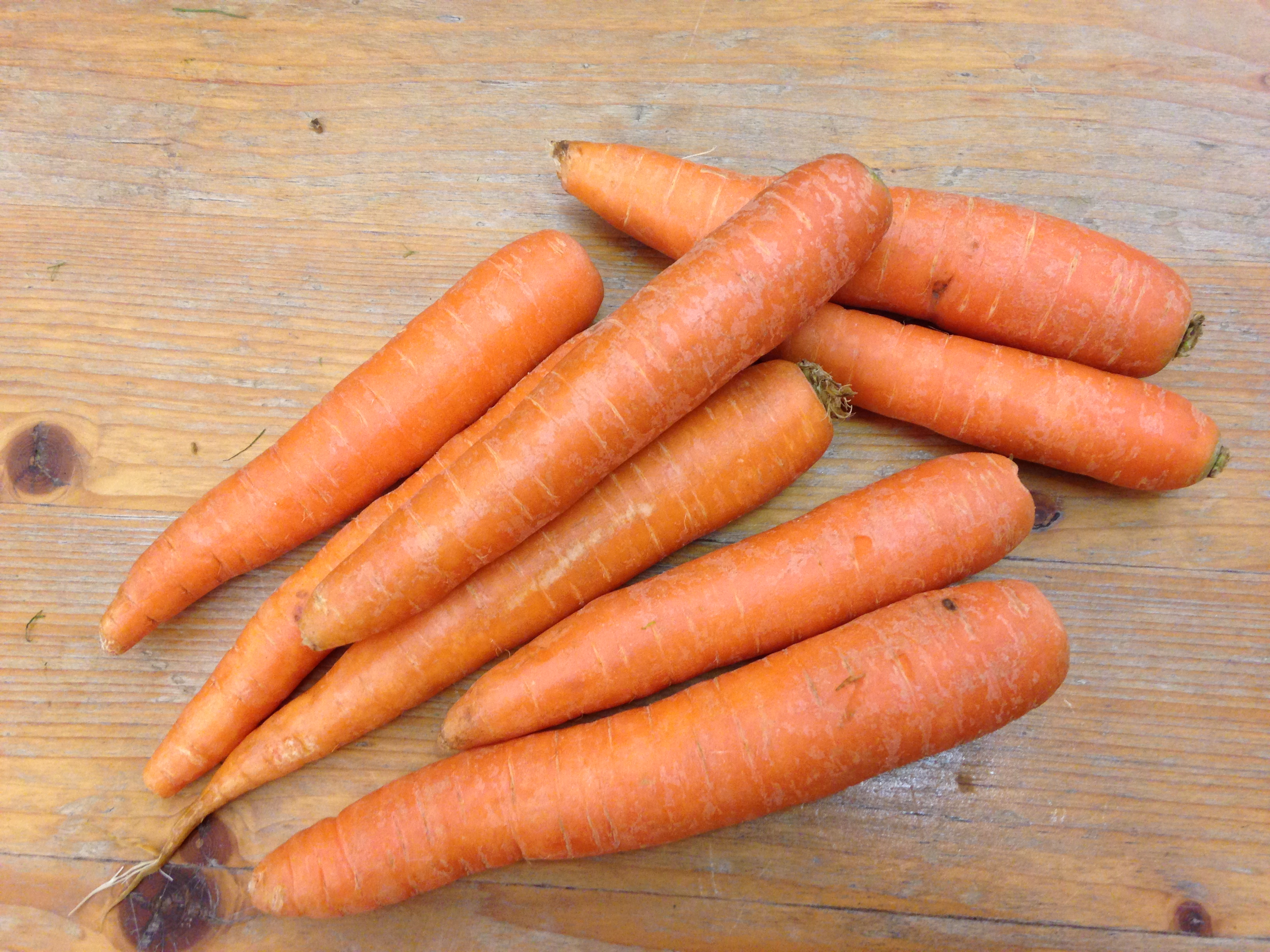 Bio-Karotten | Naturkiste